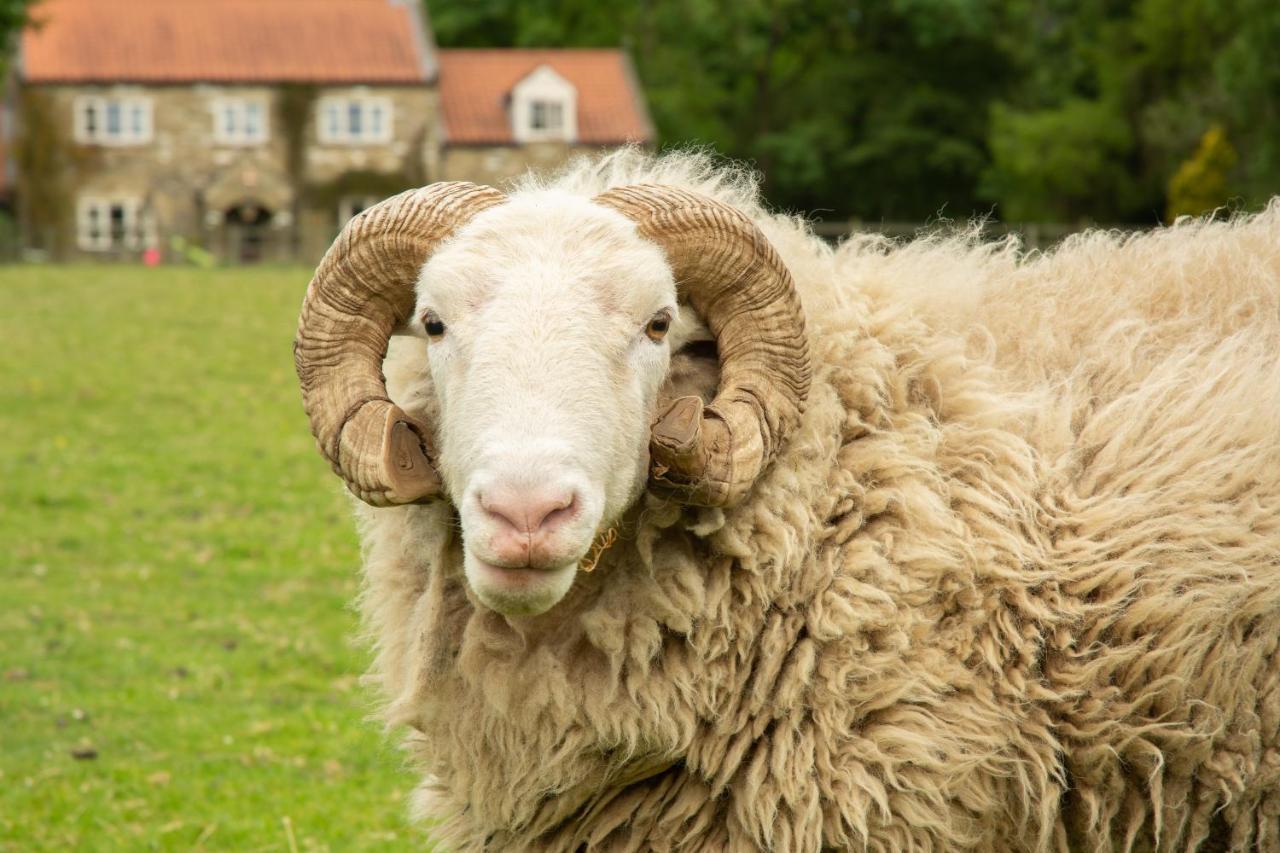 فيلا Rawcliffe House Farm بيكرينغ المظهر الخارجي الصورة