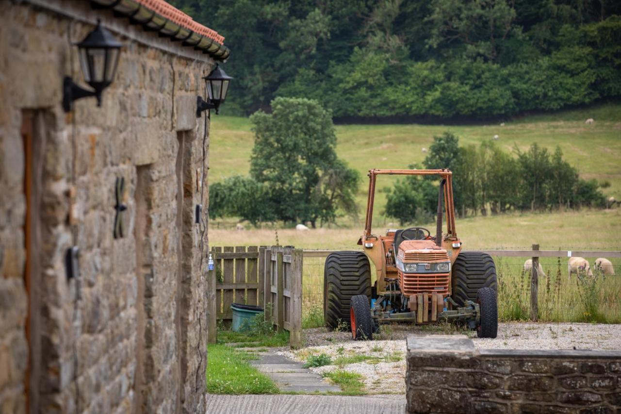فيلا Rawcliffe House Farm بيكرينغ المظهر الخارجي الصورة