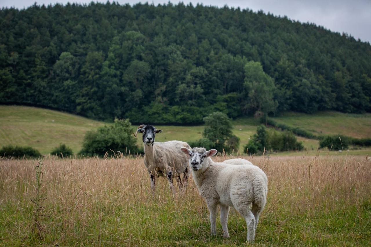 فيلا Rawcliffe House Farm بيكرينغ المظهر الخارجي الصورة