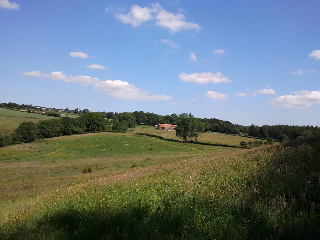 فيلا Rawcliffe House Farm بيكرينغ المظهر الخارجي الصورة