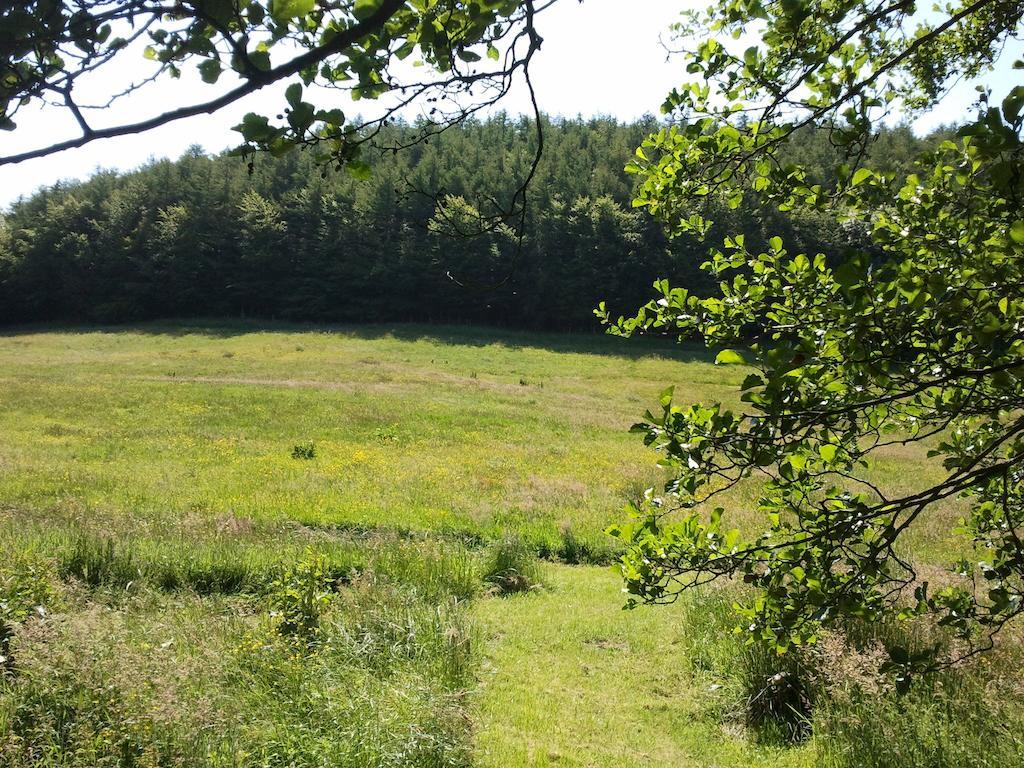 فيلا Rawcliffe House Farm بيكرينغ المظهر الخارجي الصورة